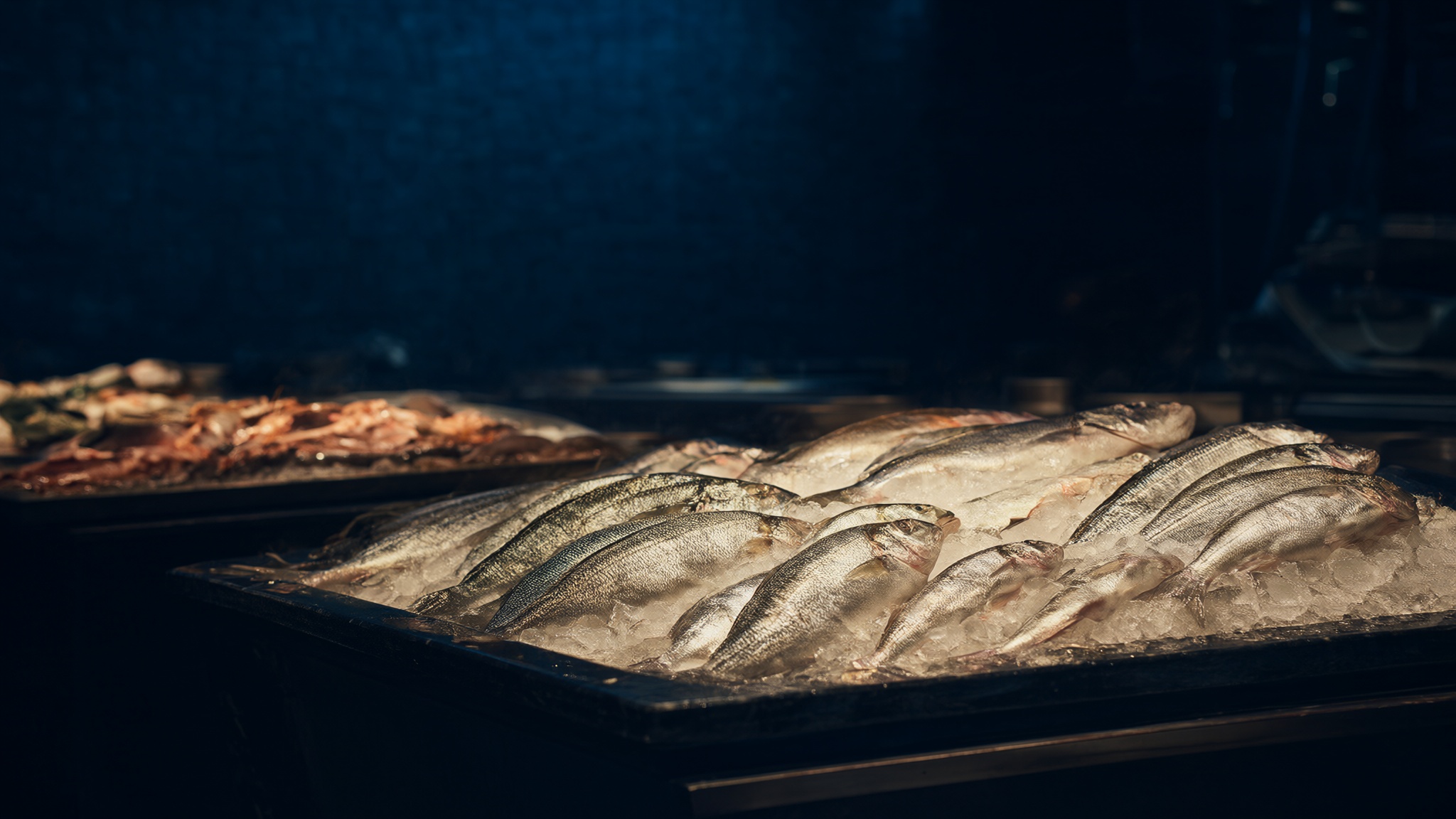 fischbestellung.de – Domain zu verkaufen